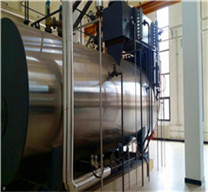 hurst boiler and welding inc. | boilers | biomass boilers